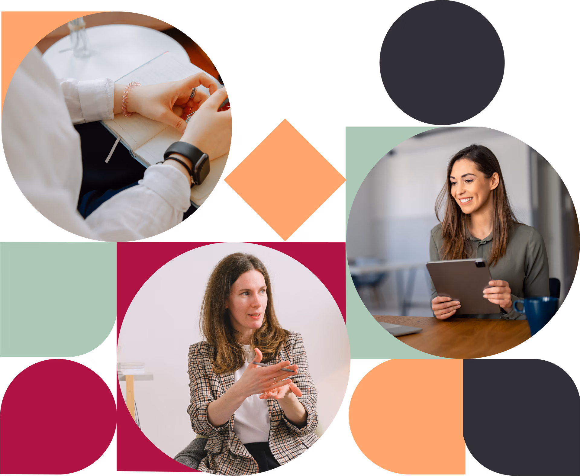 Professional development Micro Learning Training for Managers for corporate teams at Alpha Lupa.