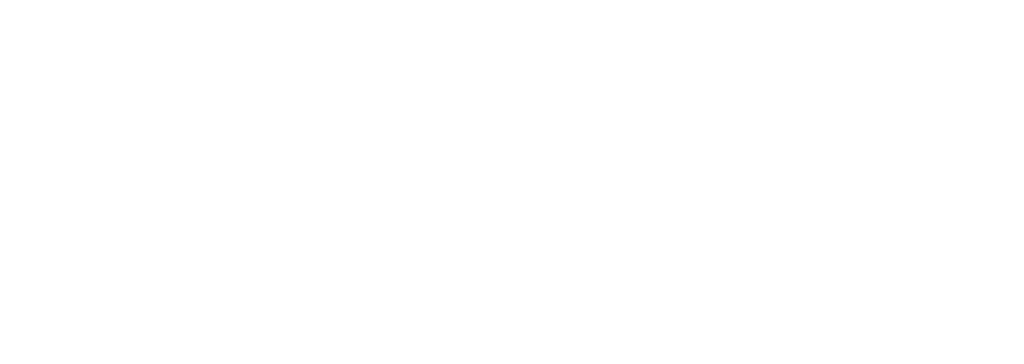 Alpha Lupa - Management Development and Team Performance UK