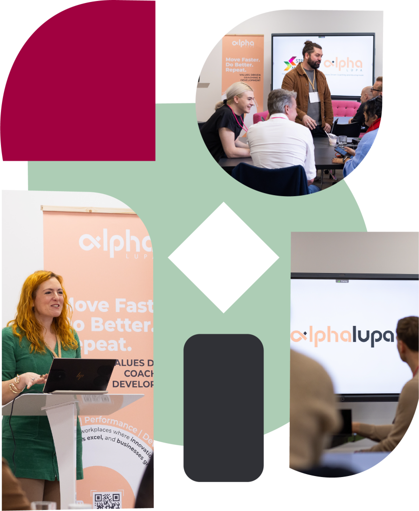 Management development workshop with a high-performing team