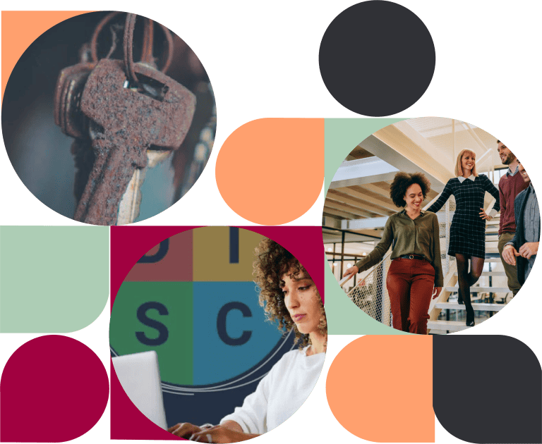 Team performance workshop — a Lupa Lab session with a UK team solving a shared challenge