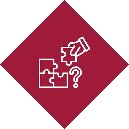 Live problem solving icon — addressing real issues in a Lupa Lab session